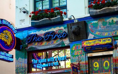 Understanding Colour: Web, Print, and Signage Consistency